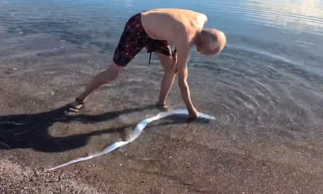 Beachgoers were shocked to find a rarely seen oarfish swimming in the shallow waters of a Baja California Sur beach in Mexico on Sunday, February 9, 2025.