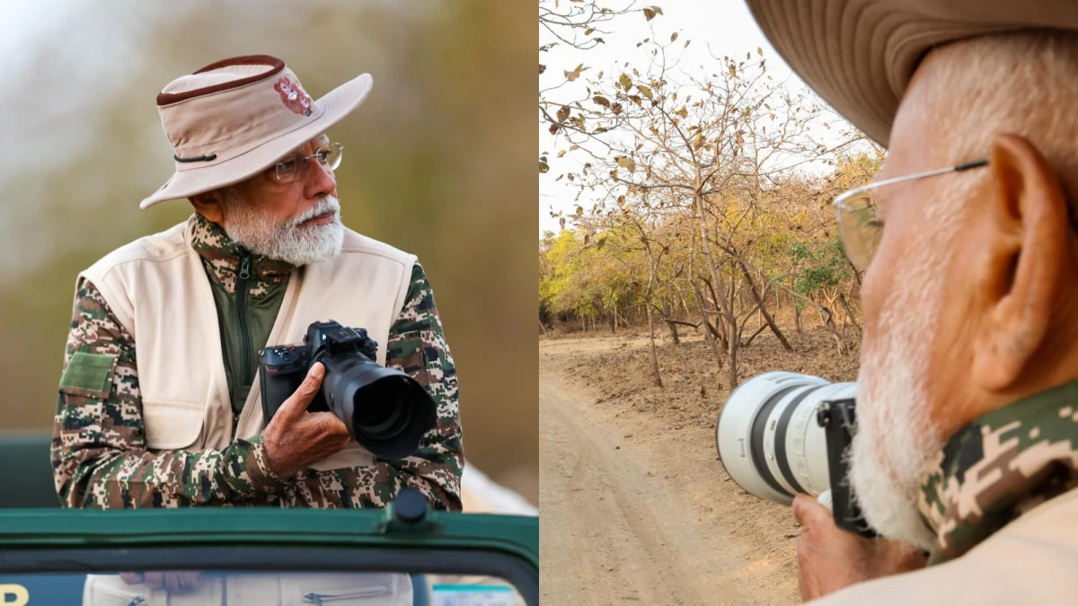 PM Modi shared pictures of lions clicked by him at the Gir National Park.