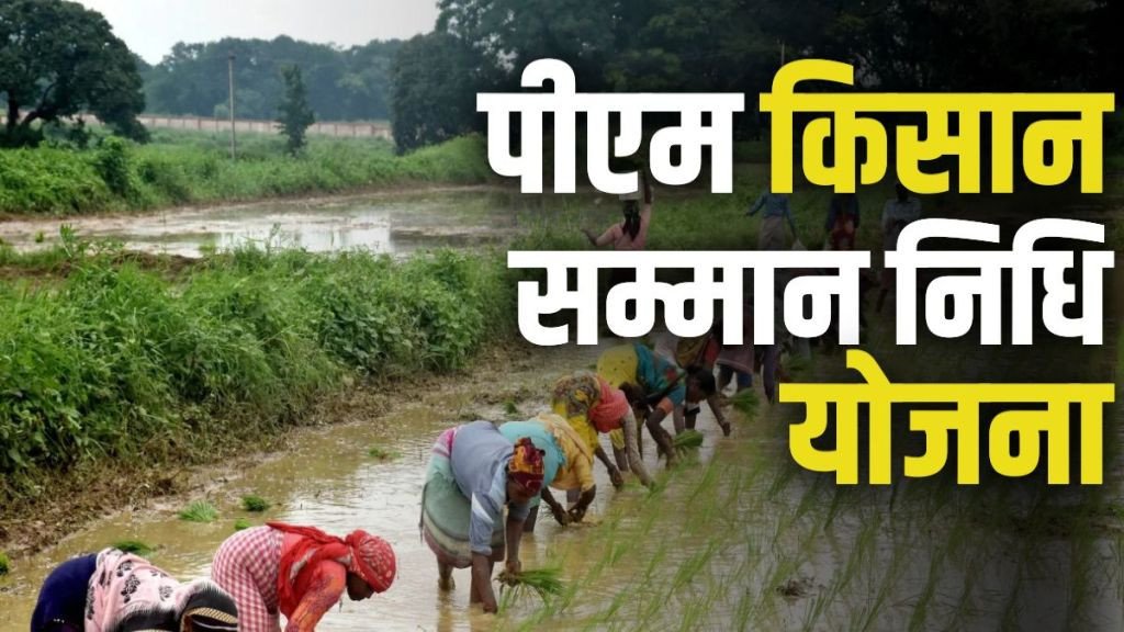 pm kisan yojana, samman nidhi, farmers