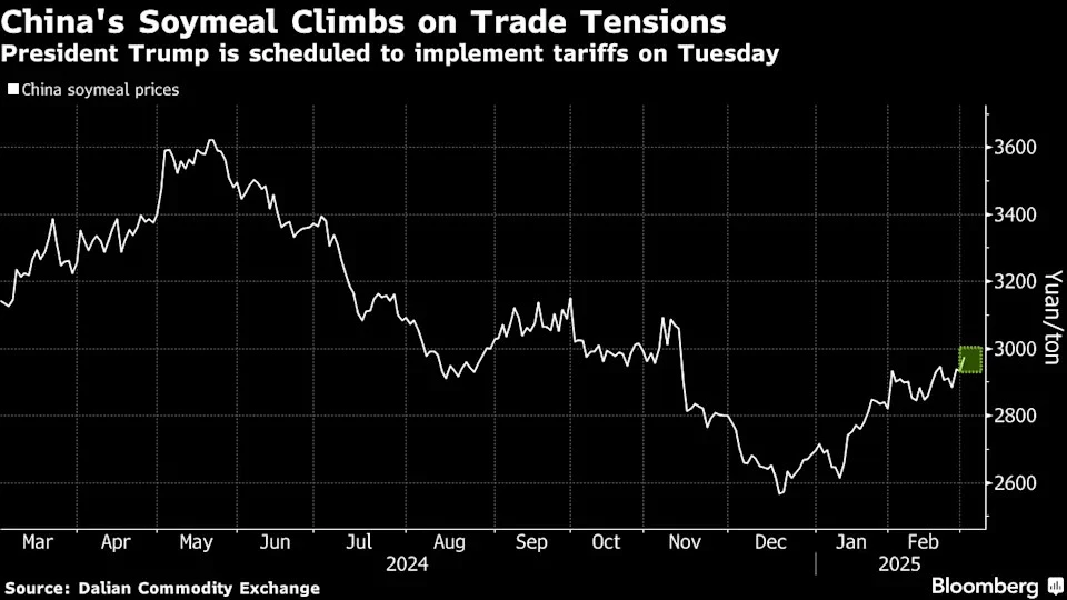 "Stocks Hit as Trade Jitters Fuel ‘Trump Put’ Talk: Markets Wrap · Bloomberg" - A visual representation of the market turmoil, courtesy of Bloomberg, as investors scramble to respond to the escalating trade tensions and their impact on global markets.