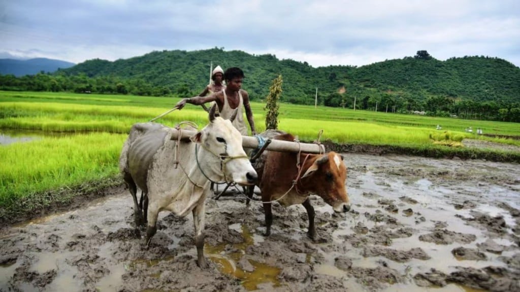 PM Kisan Yojana