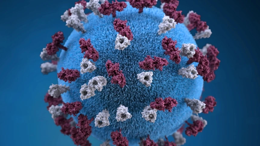 An illustration of a measles particle.