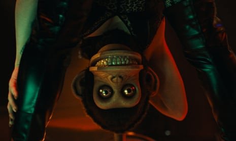 a toy monkey upside down